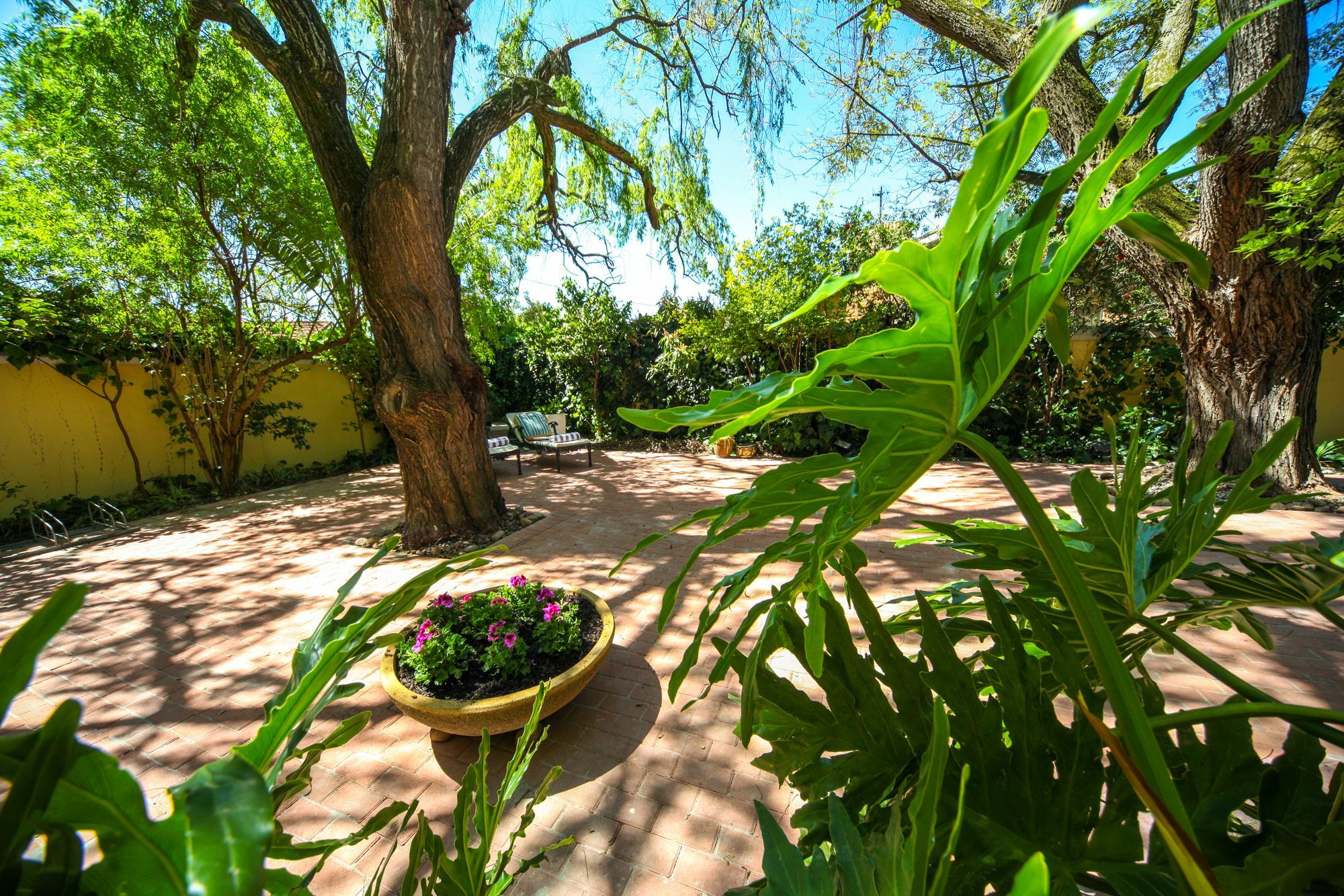 Hunneyball House Stellenbosch Dış mekan fotoğraf