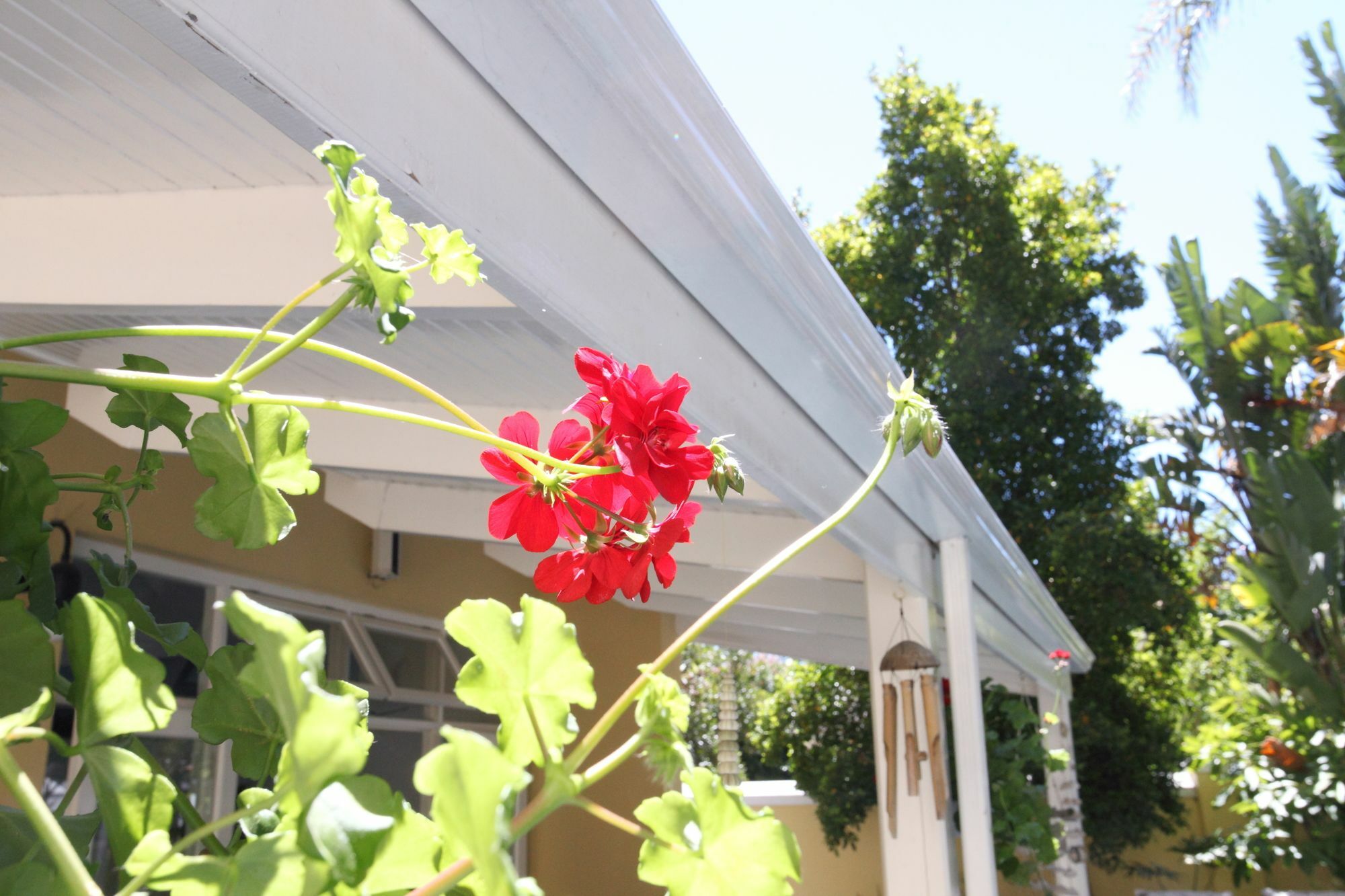 Hunneyball House Stellenbosch Dış mekan fotoğraf